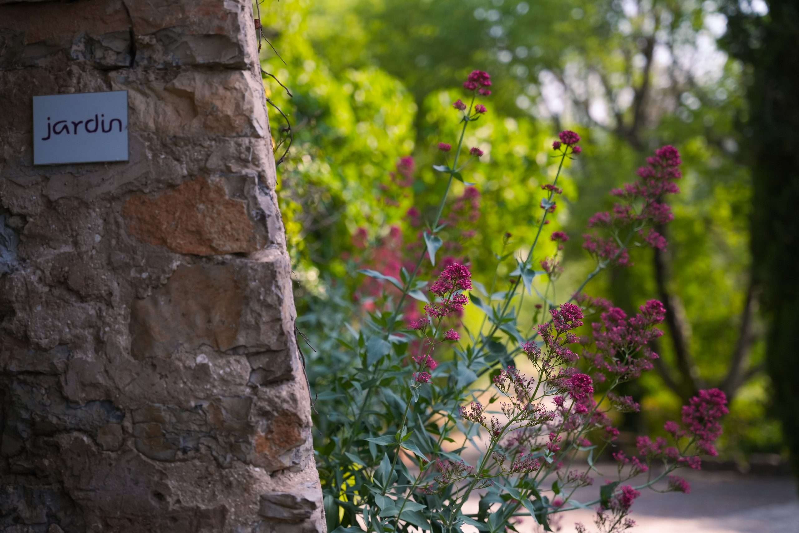 Chambre Jardin Le Hameau de l'Etoile