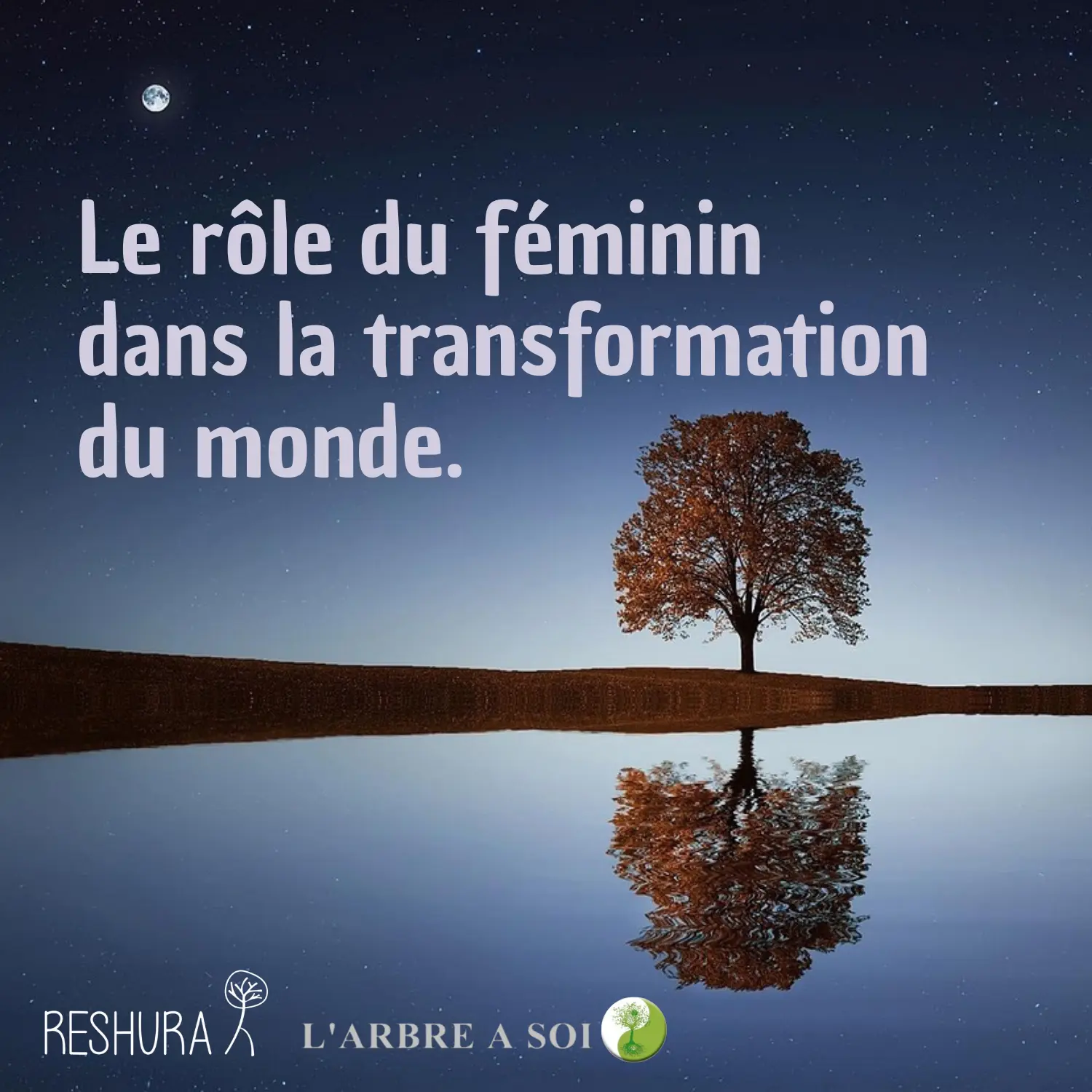 Reshura et L'Arbre à Soi logo Role du féminin