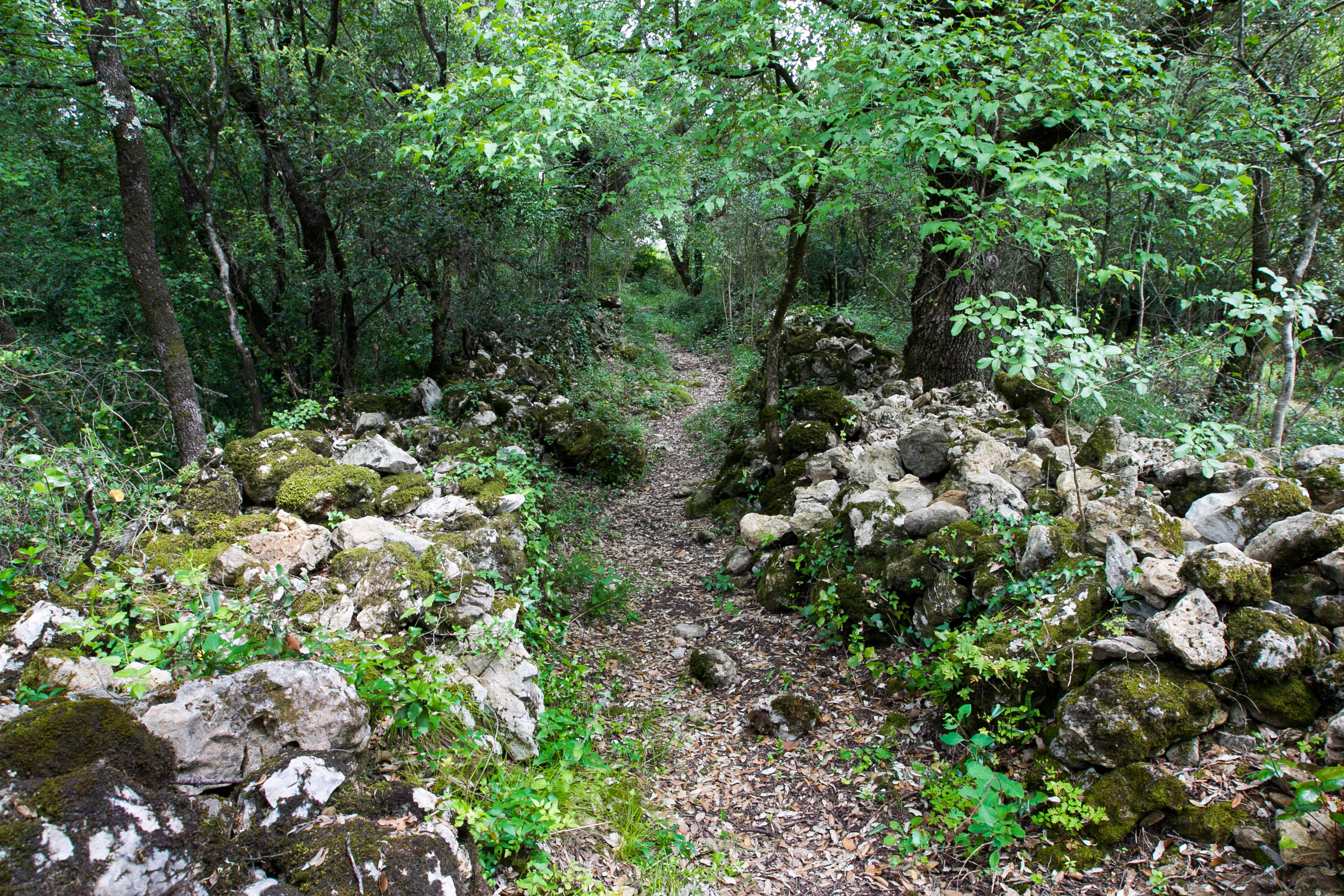 randonnees languedoc drailles