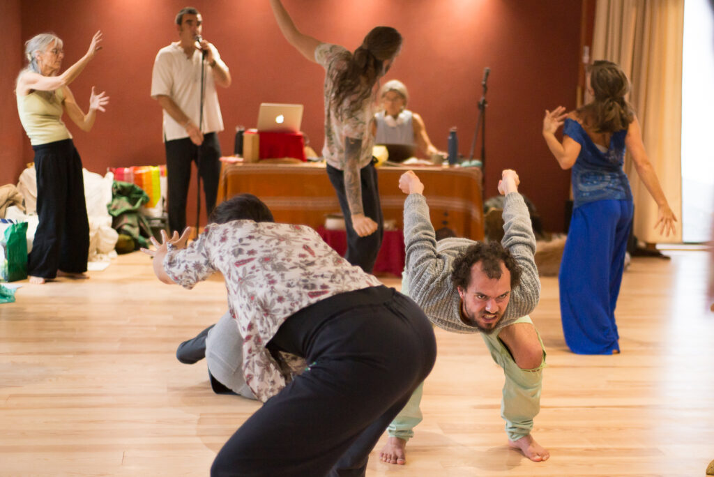 stage danse movement medicine au hameau de letoile