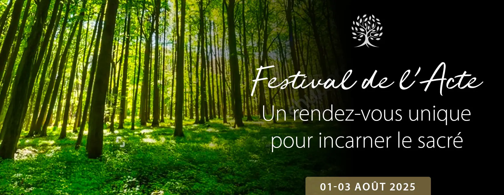 Festival de L’ACTE, organisé par Arnaud Riou