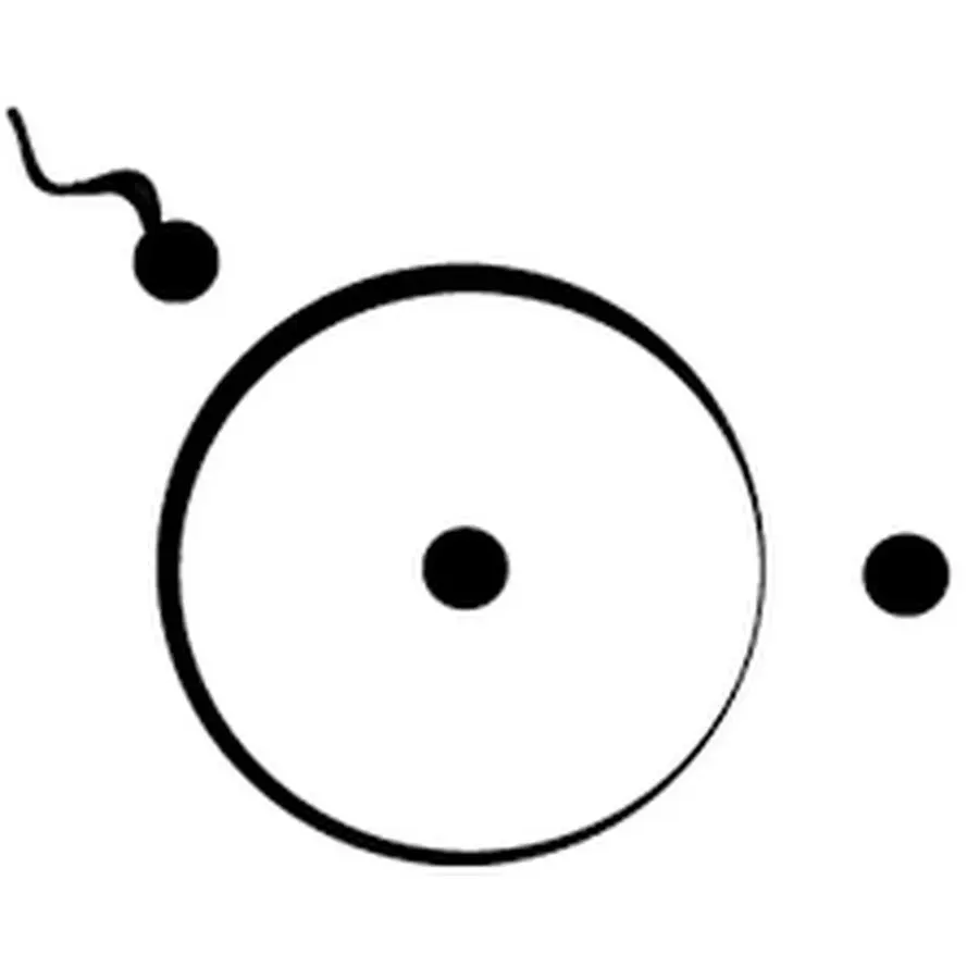 OPYA Institut logo