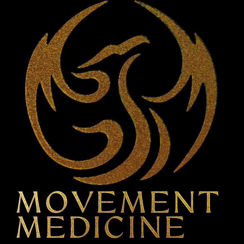 Logo Neuf souffles Phoenix Movement Medicine - Hameau de l'étoile