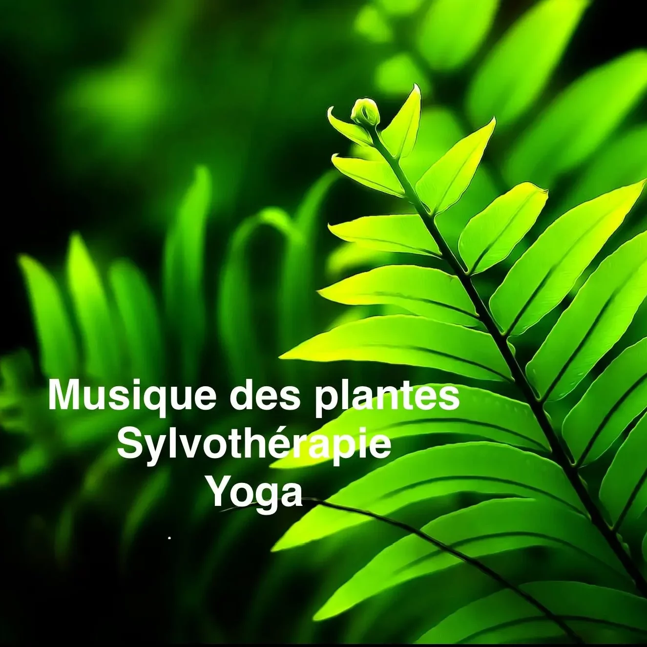 Béatrice Navereau Grout - Musique des plantes, Sylvothérapie & Yoga - Hameau de l'étoile