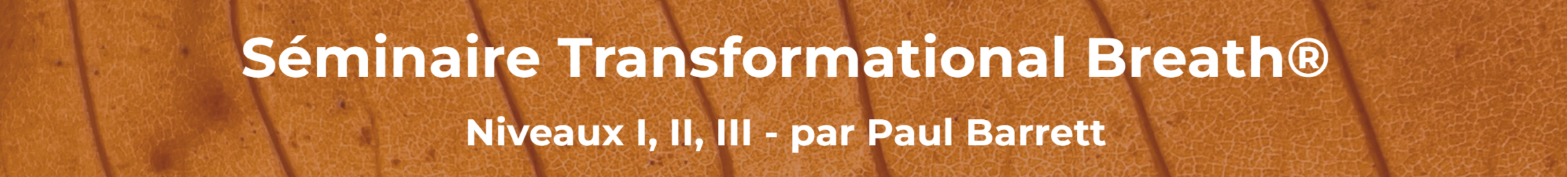 Séminaire intensif Transformational Breath (niveau I, II, III) - Hameau de l'étoile