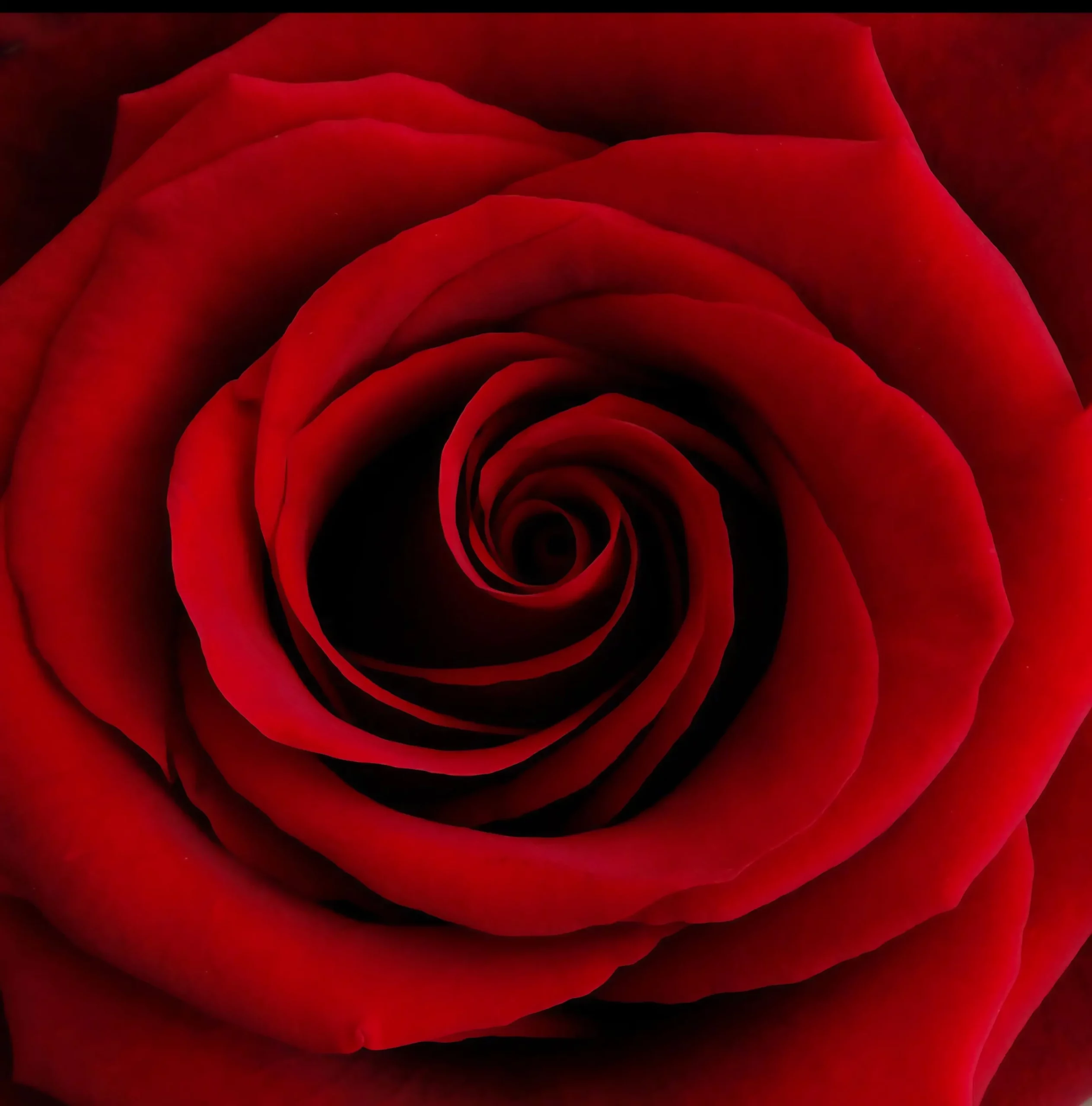 Cindy-Berthelot-stage