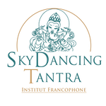 Skydancing Institut