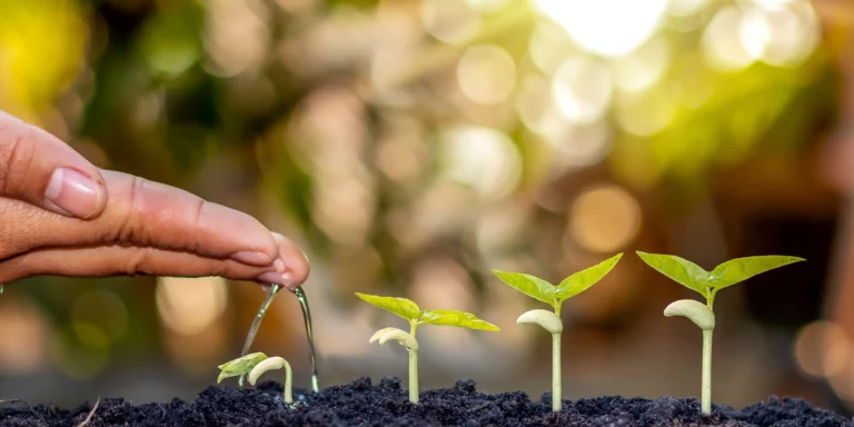 Coach en développement personnel Montpellier - Le Hameau