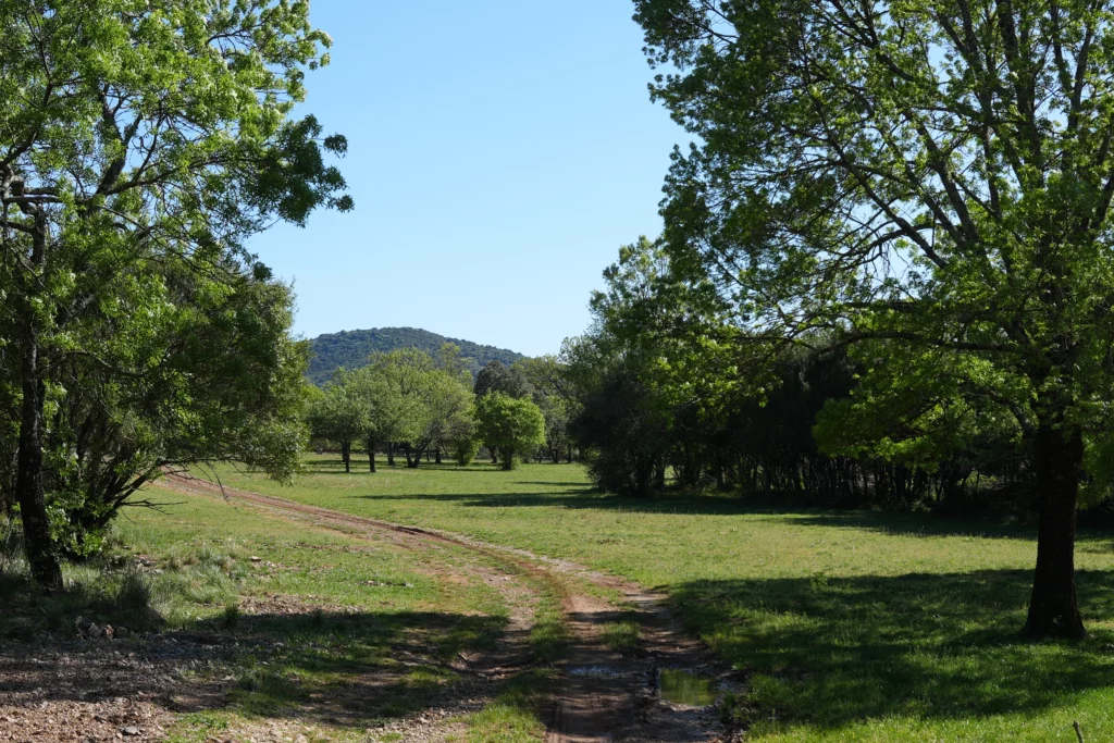 randonnée pic saint loup