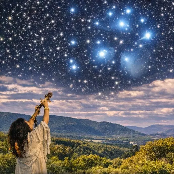 Patricia White Buffalo France logo - Hameau de l'étoile