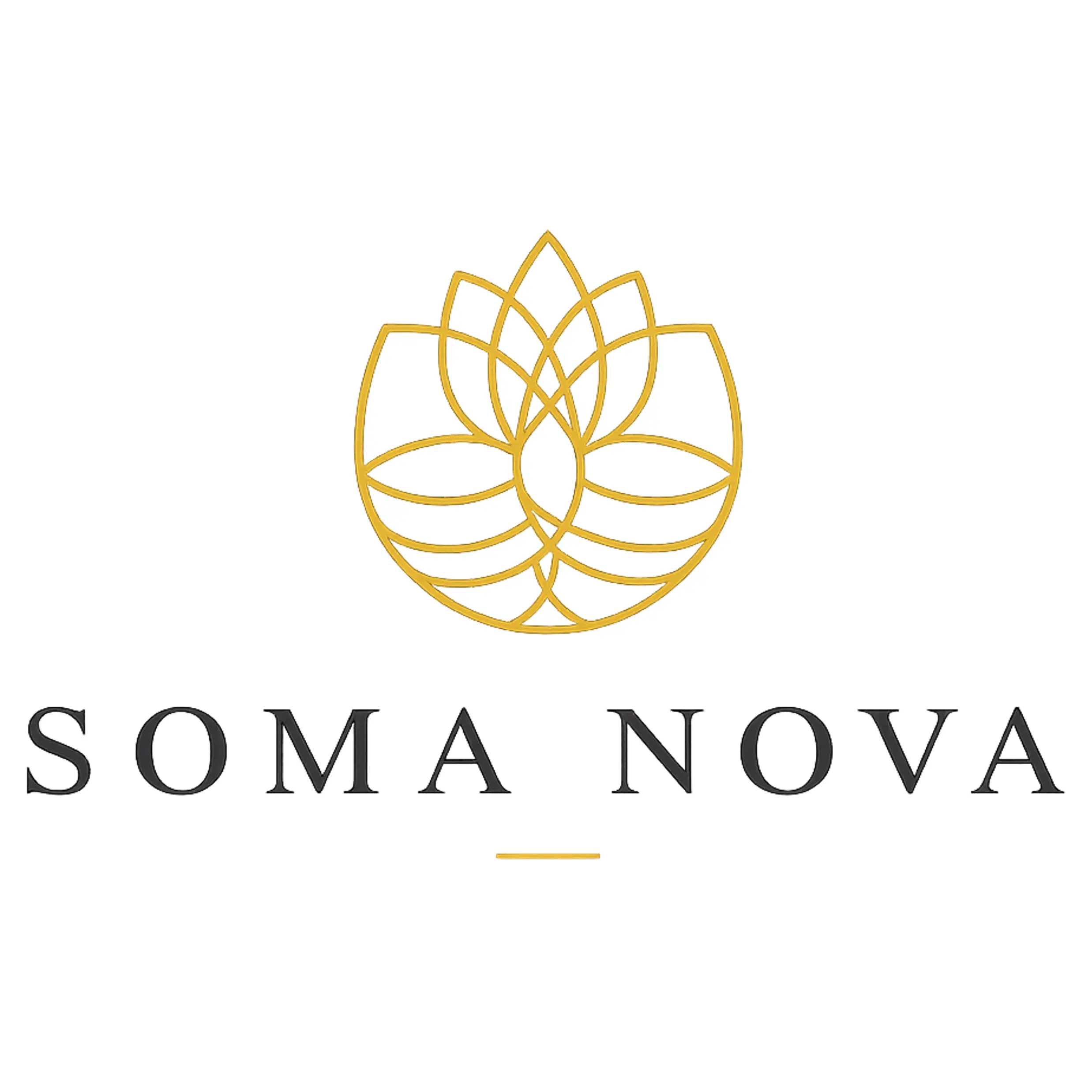 SOMA NOVA Logo - hameau de l'étoile