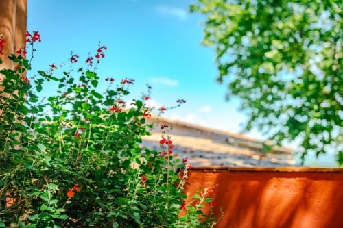 retraite nature au hameau de l'étoile